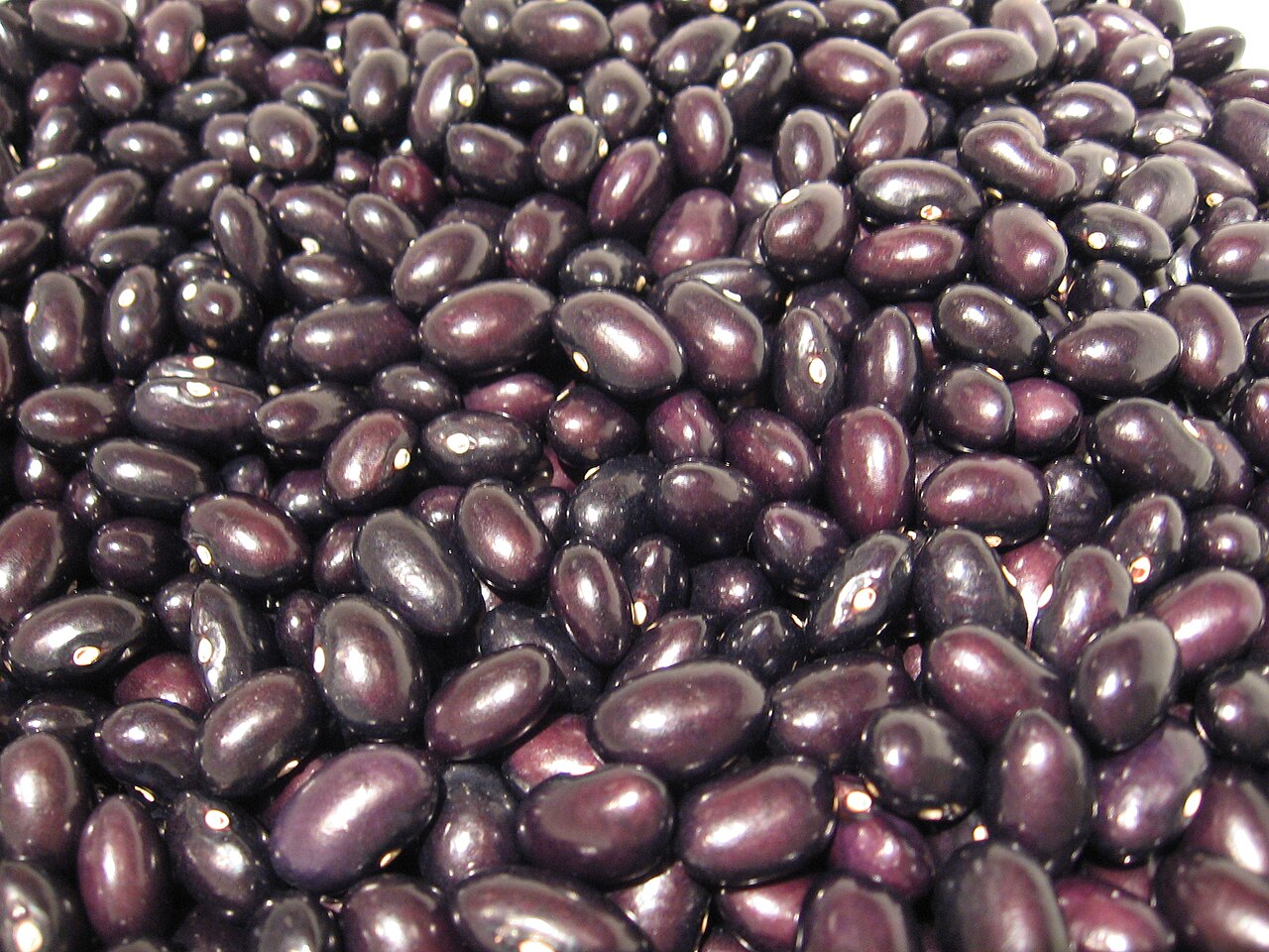 Alubias de Tolosa