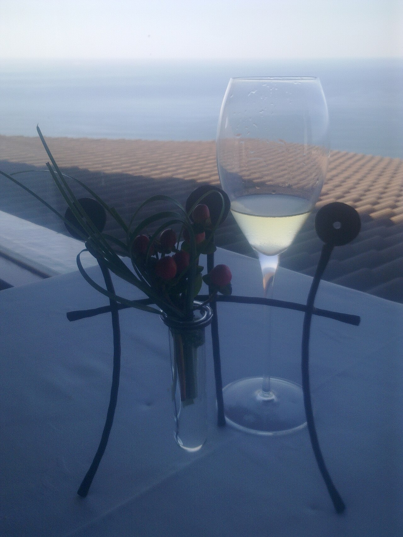 Copa de Txakoli