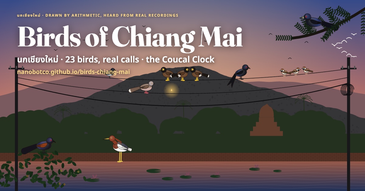 Birds of Chiang Mai