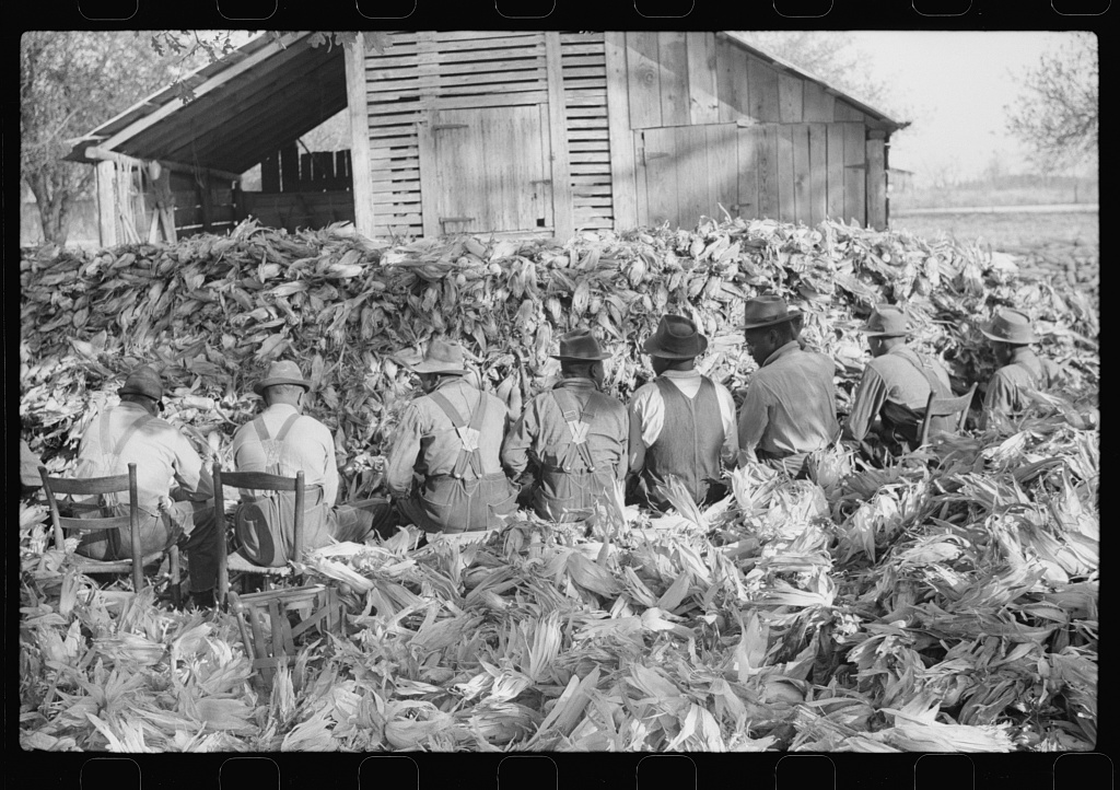 Men in hats and overalls sit on kitchen chairs in a chest-high drift of corn shucks, working through the pile, with a wooden corn crib behind them. Corn shucking at Uncle Henry Garrett's place, Tally Ho near Stem, Granville County, North Carolina, November 1939.