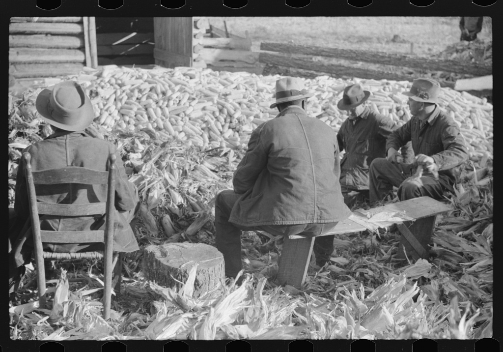 A second frame of the same corn shucking near Stem, Granville County, North Carolina, November 1939.