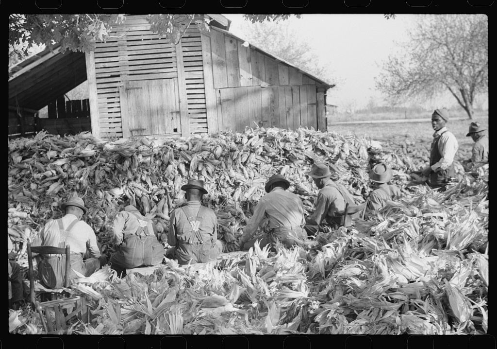 A second unlabelled frame from the same corn shucking near Stem, Granville County, North Carolina, November 1939.