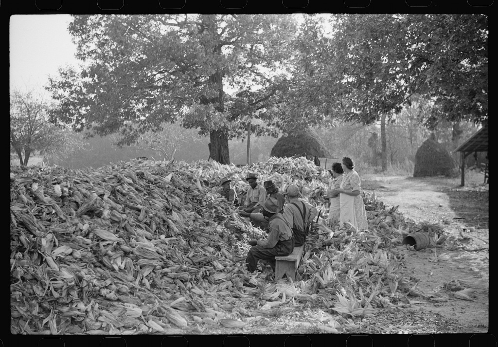An unlabelled frame from the same corn shucking at Tally Ho near Stem, Granville County, North Carolina, November 1939.