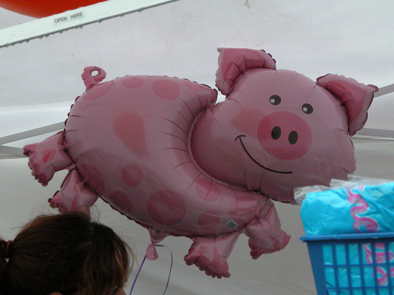 Lexington Barbecue Festival 2008 - Most of the souvenirs are pig related, like this pig balloon.