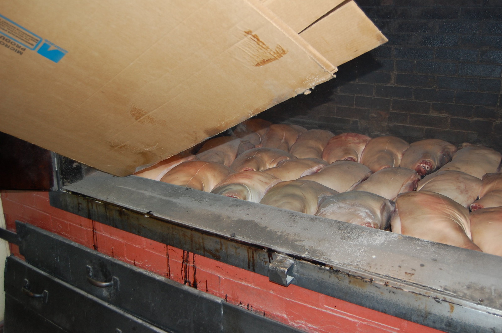 Raw pork shoulders packed close in rows on the steel grate of a long masonry pit, skin side up. The pit's side is painted brick, red below and blackened above, with a heavy hinged steel lid; a flattened cardboard box rests across the open end. Smoke and steam hang over the meat.