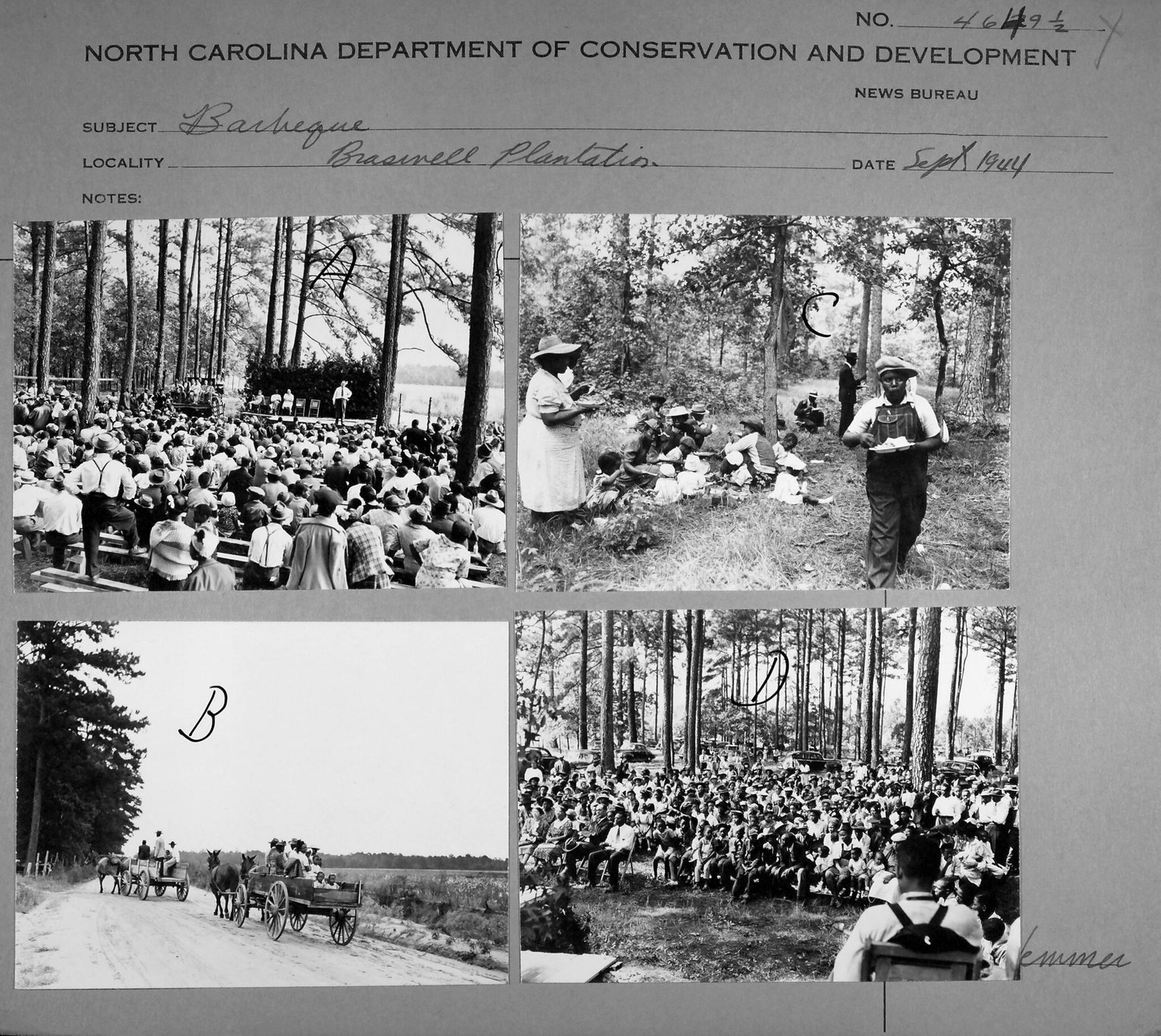 A state News Bureau sheet of four prints headed Barbeque, Braswell Plantation, Sept 1944. In one, several hundred people sit on plank benches among pines facing a low wooden platform where a man in shirtsleeves stands at the front and others sit in chairs behind him. Another looks the same crowd in the face, rows deep, cars parked in the trees behind. A third shows two mule wagons carrying people along a sand road. The fourth shows people sitting on the grass with plates, a man in overalls walking towards the camera carrying his.