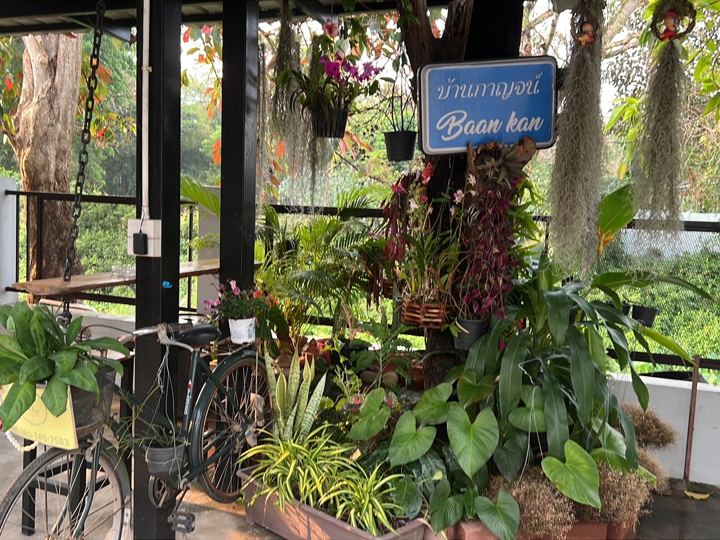 The garden at Baan Kan