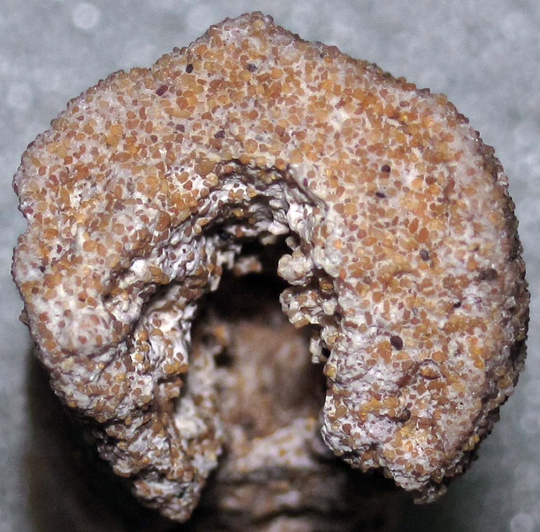 Fulgurite: sand that lightning melted into a glass tube. Sahara, Morocco.