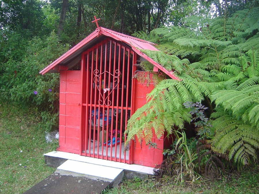 A small red oratory with a grille door among tree ferns, Réunion.