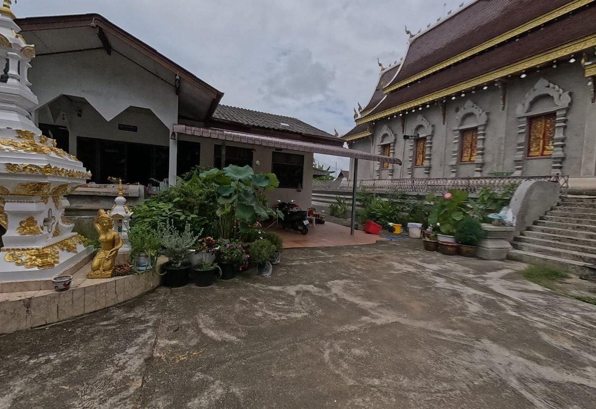 Grey stucco viharn with gilded windows, small white chedi and lotus pots