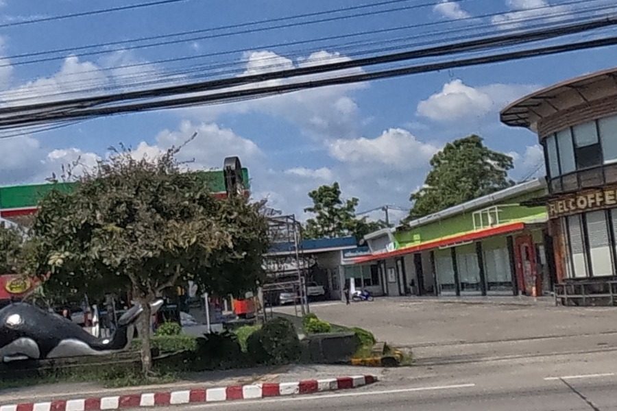 Orca statue outside a round coffee shop