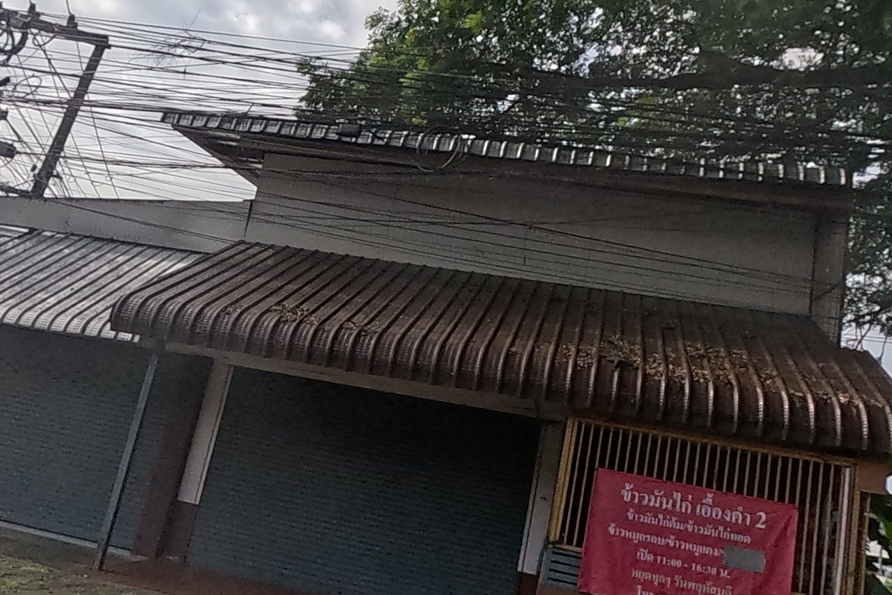 A shuttered corner restaurant under a large roadside tree, with a red banner listing its chicken-rice menu, hours and phone number.