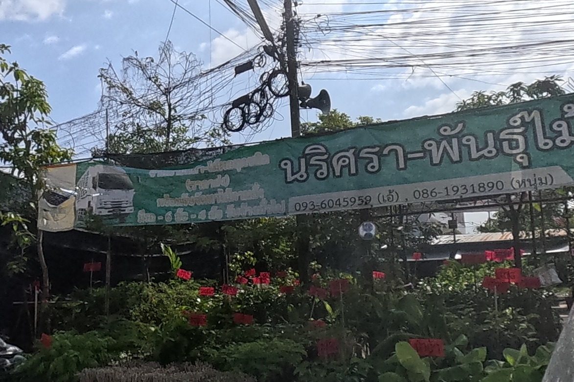 A green banner reads 'นริศรา-พันธุ์ไม้' with two contact numbers, fronting a nursery plot with red-tagged potted plants, bagged soil/fertiliser, and bundled plant stakes.
