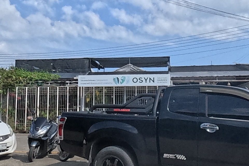 A parking area with a black Isuzu 'Hi-Lander' pickup and scooters; behind it a green-and-white 'OSYN' garden sign, and further right a row of shops with yellow signage selling pots and ceramics.