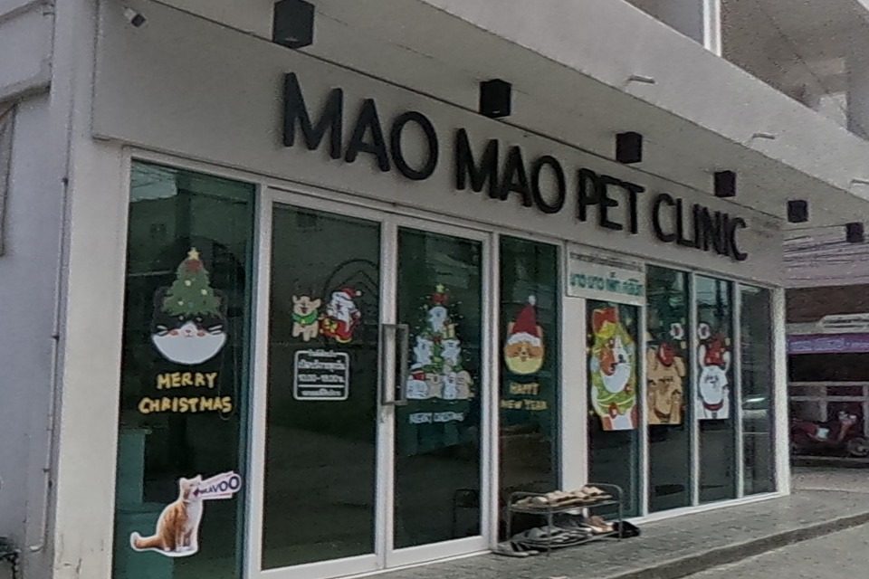 'MAO MAO PET CLINIC', its glass doors decorated with Christmas and New Year cat stickers, occupies the ground floor of a white apartment building.