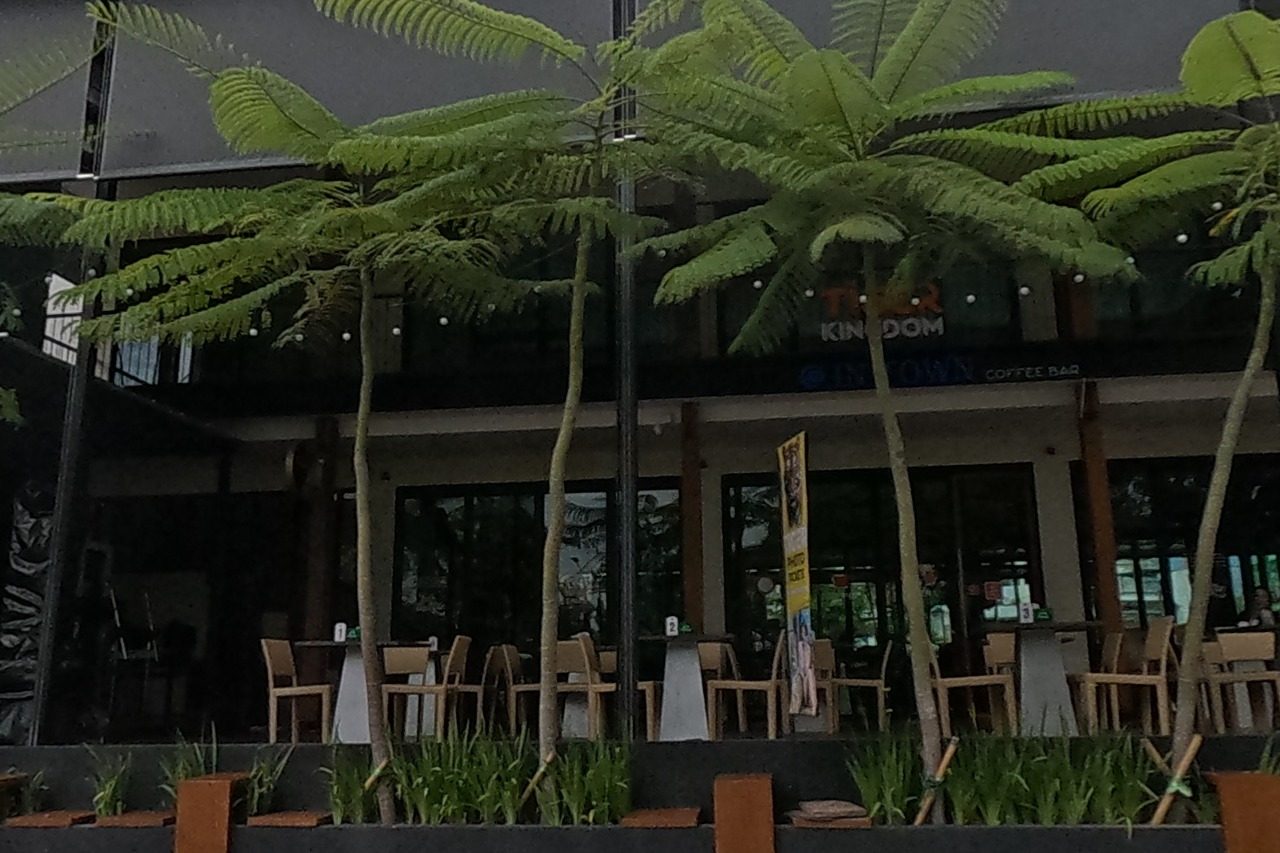 Thai Kingdom restaurant and In Town Coffee Bar, a modern glass-walled corner restaurant with outdoor seating shaded by tall potted palms.