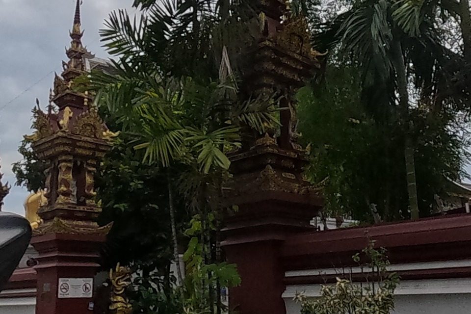 Tall palms rise behind the temple's ornate red-and-gold gateposts, temple roofs visible through the foliage.