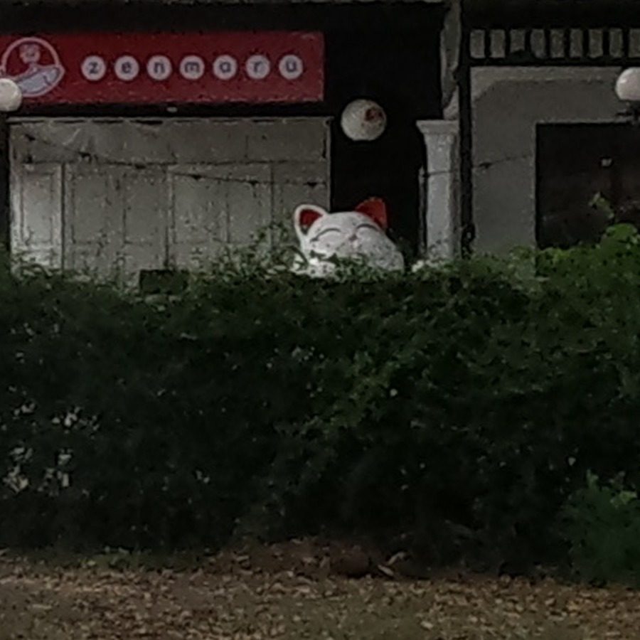 Giant lucky cat peeking over the hedge