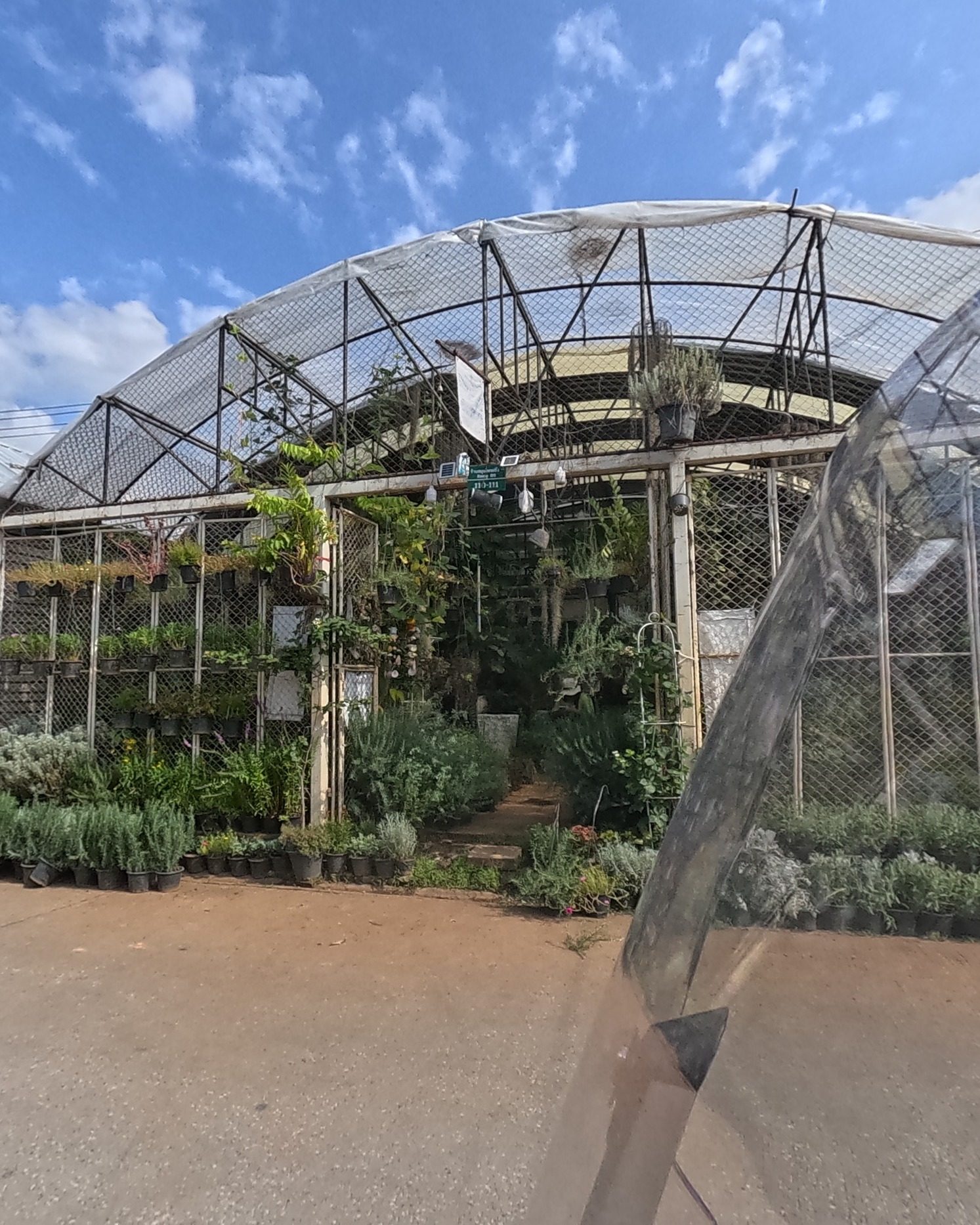 Arched greenhouse nursery, hanging plants