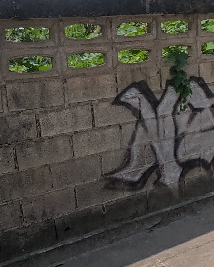 Graffiti tag on a compound wall