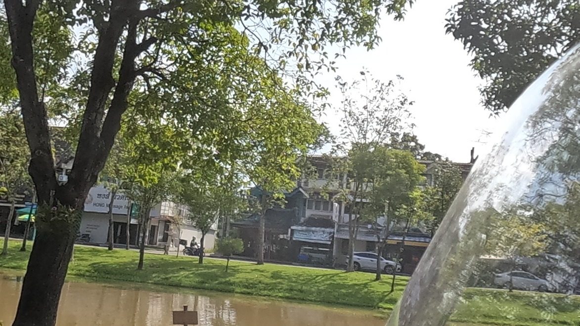 Brick walkway along the tree-shaded canal