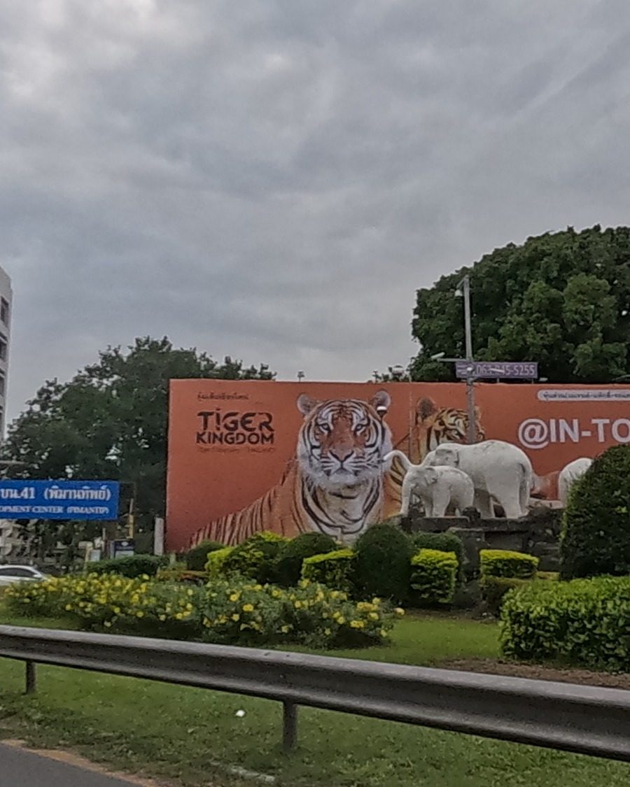 Tiger Kingdom roadside billboard