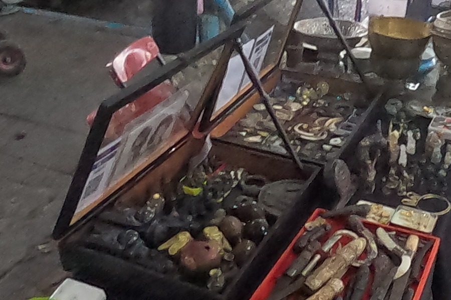 Carved tusks and bone pieces in an open case