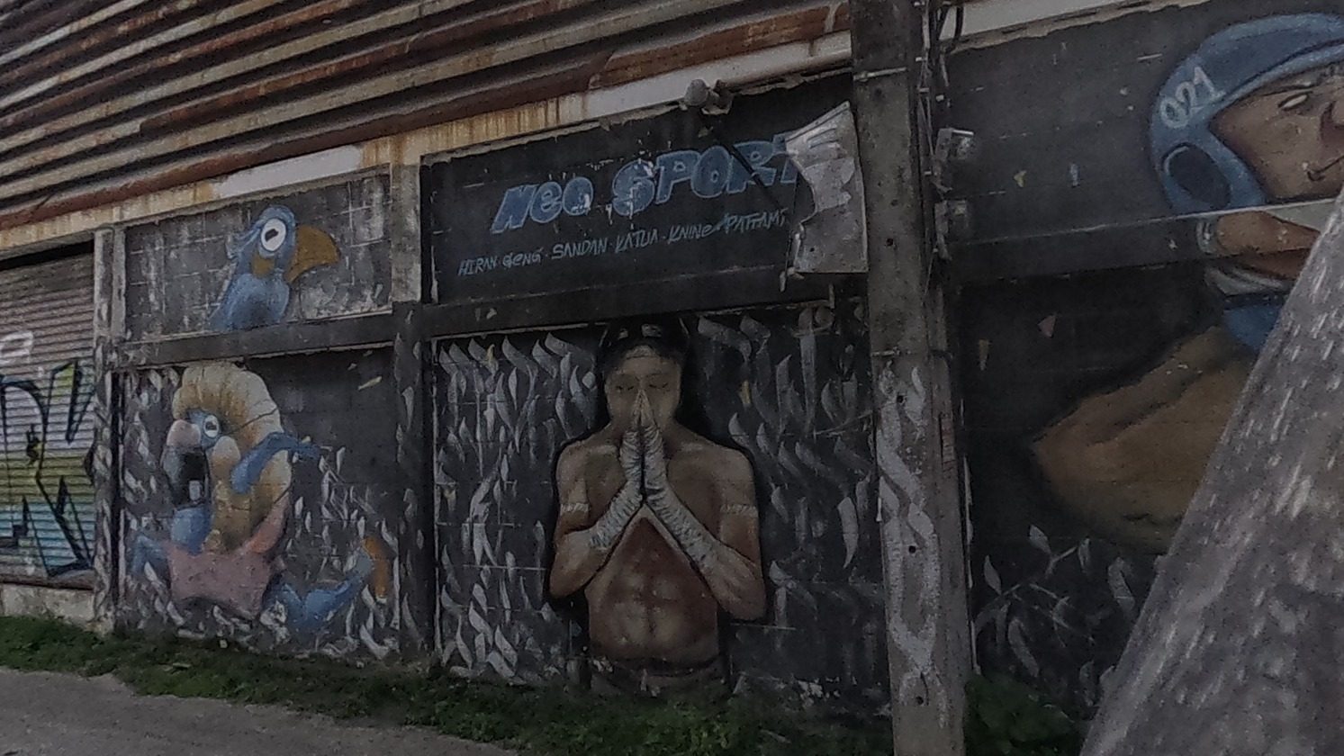 Shutter mural row: blue parrots, a wai-ing Muay Thai fighter, a football player