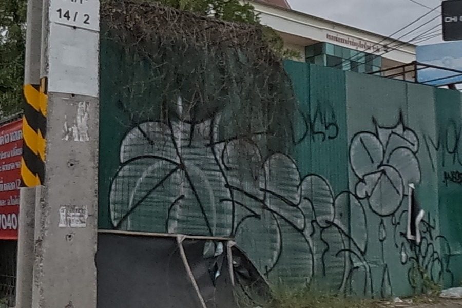 Spray-painted vine leaves on a construction fence
