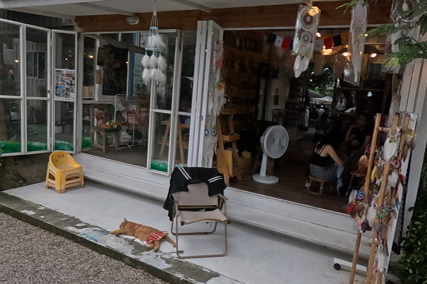 Ginger cat asleep outside the dreamcatcher shop — Chamcha Market, San Kamphaeng