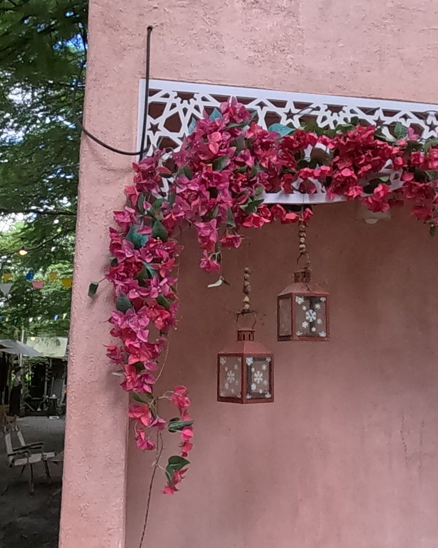 Tin lanterns under a bougainvillea arch — Chamcha Market, San Kamphaeng
