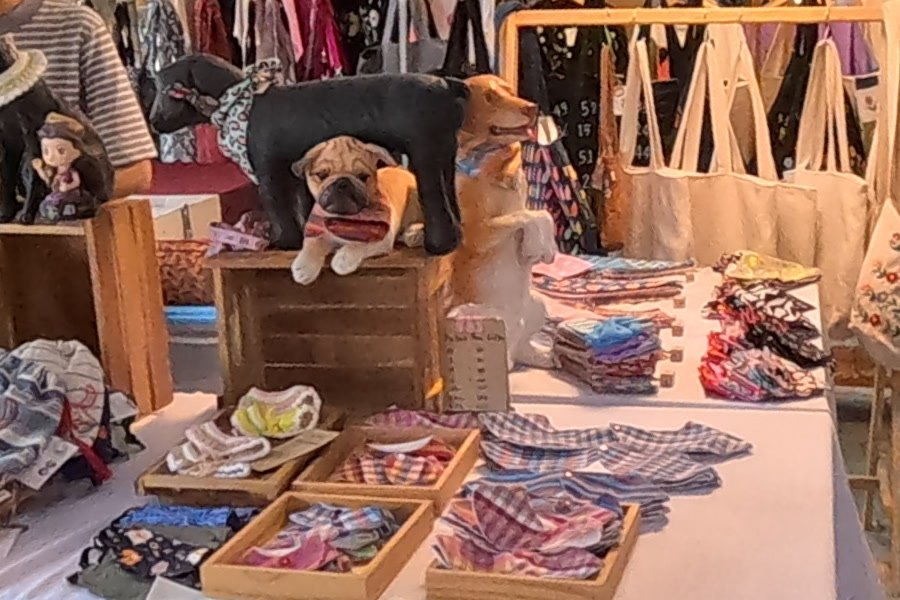 Dog bandanas and a pug in one — Chamcha Market, San Kamphaeng