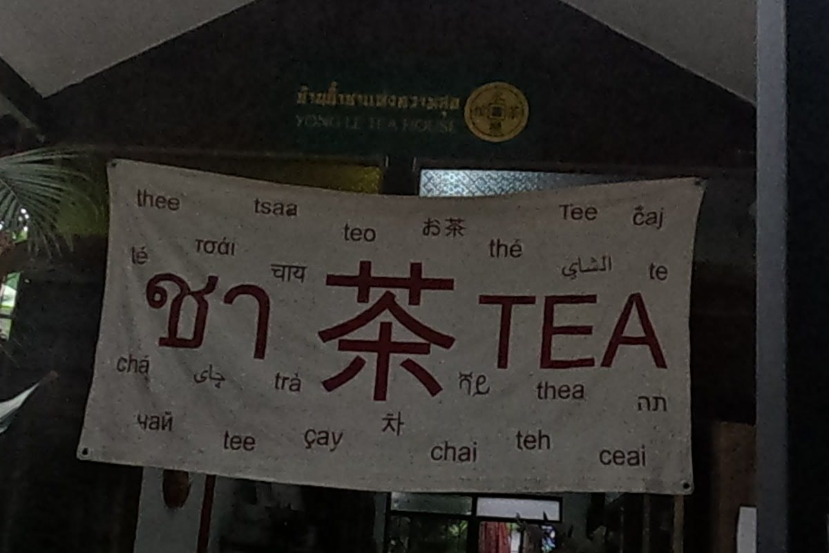 Yong Le Tea House at Chamcha Market, San Kamphaeng: Chinese tea house: tea, Pu'er, matcha, mooncakes