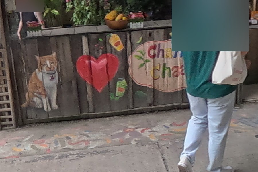 Painted cat and 'Cham Chaa' on the kiosk — Chamcha Market, San Kamphaeng