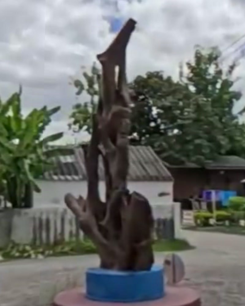 Driftwood sculpture on a blue plinth at a roundabout — San Kamphaeng