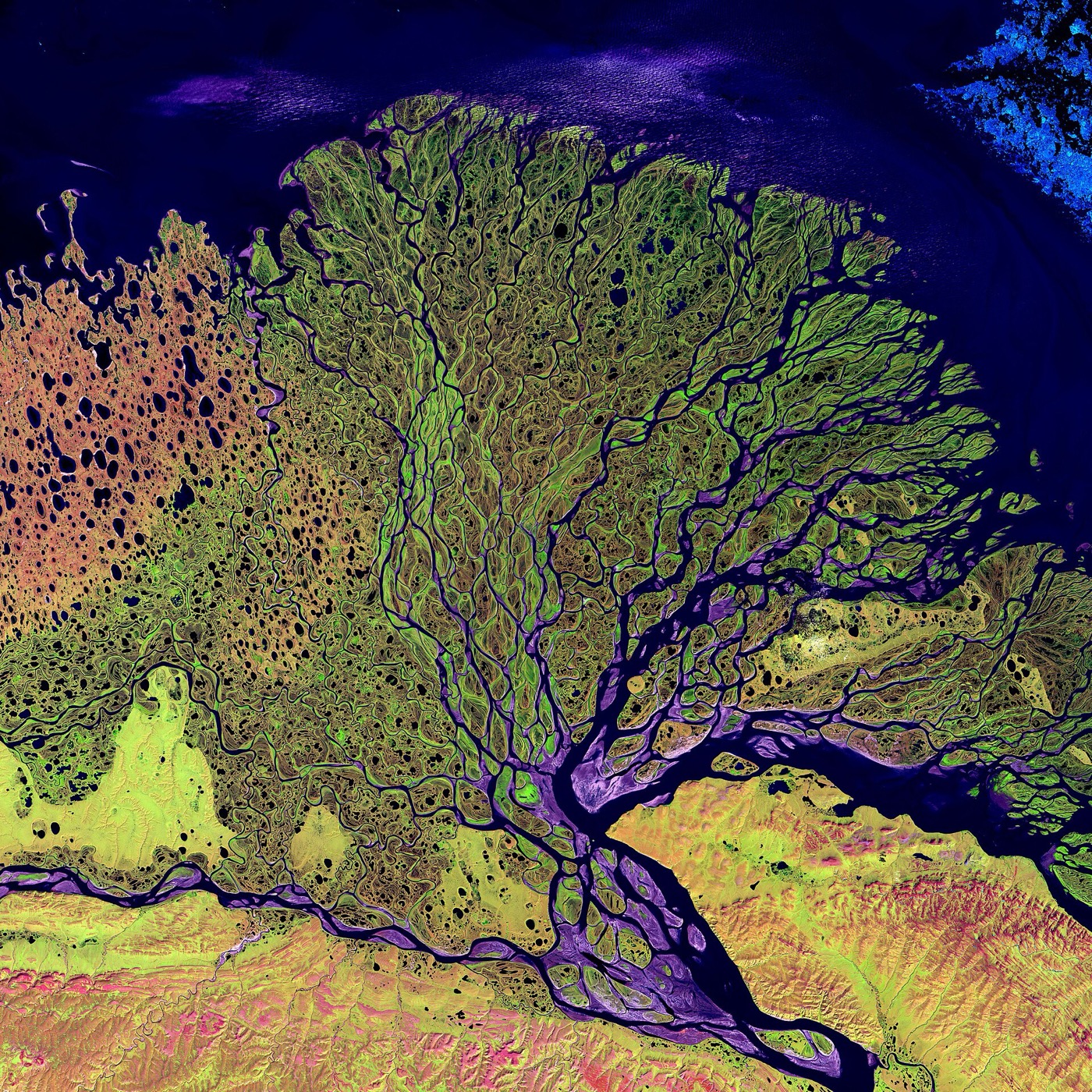 The Lena River Delta, Siberia, from Landsat 7, 2000.