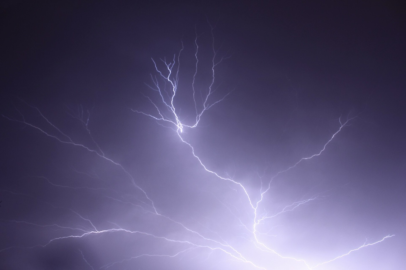 Lightning over Albury, New South Wales, branching as it goes.