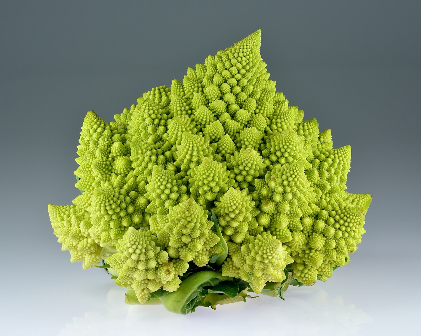 Romanesco: cones of cones, in spirals.