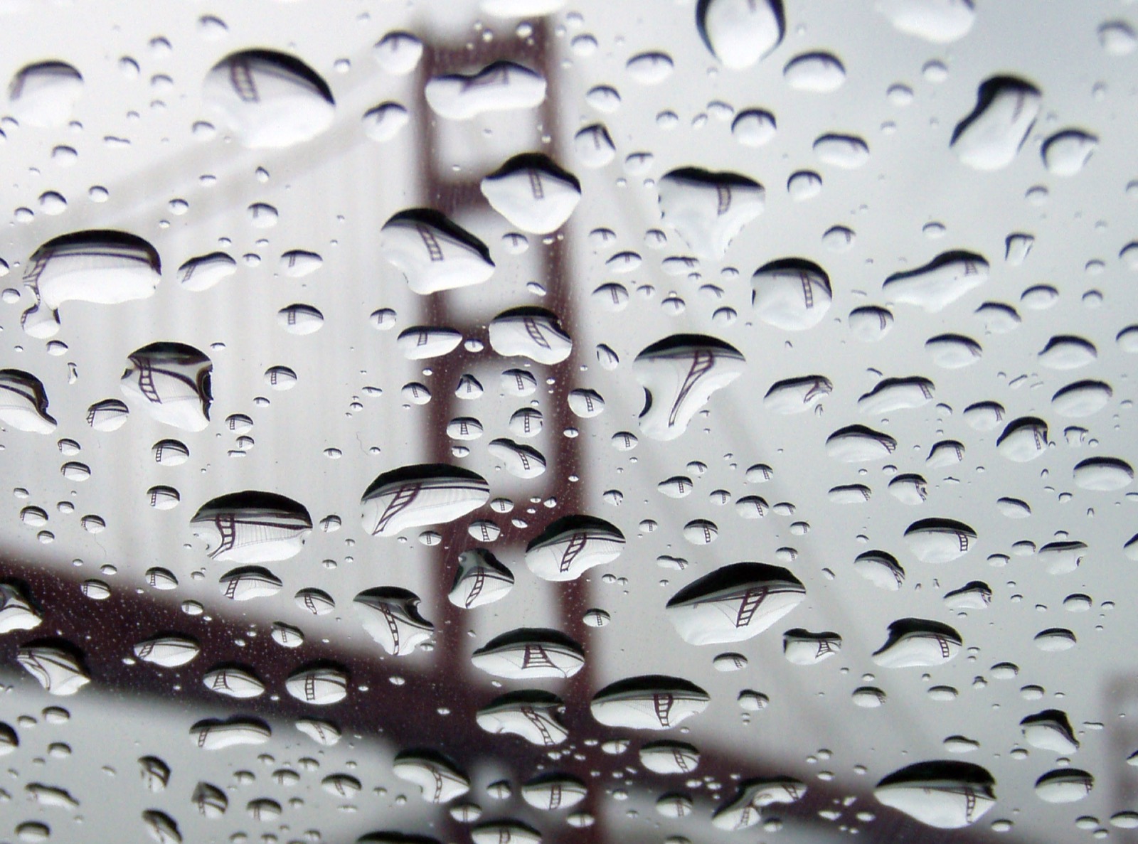 Raindrops on glass, each showing a small upside-down Golden Gate Bridge