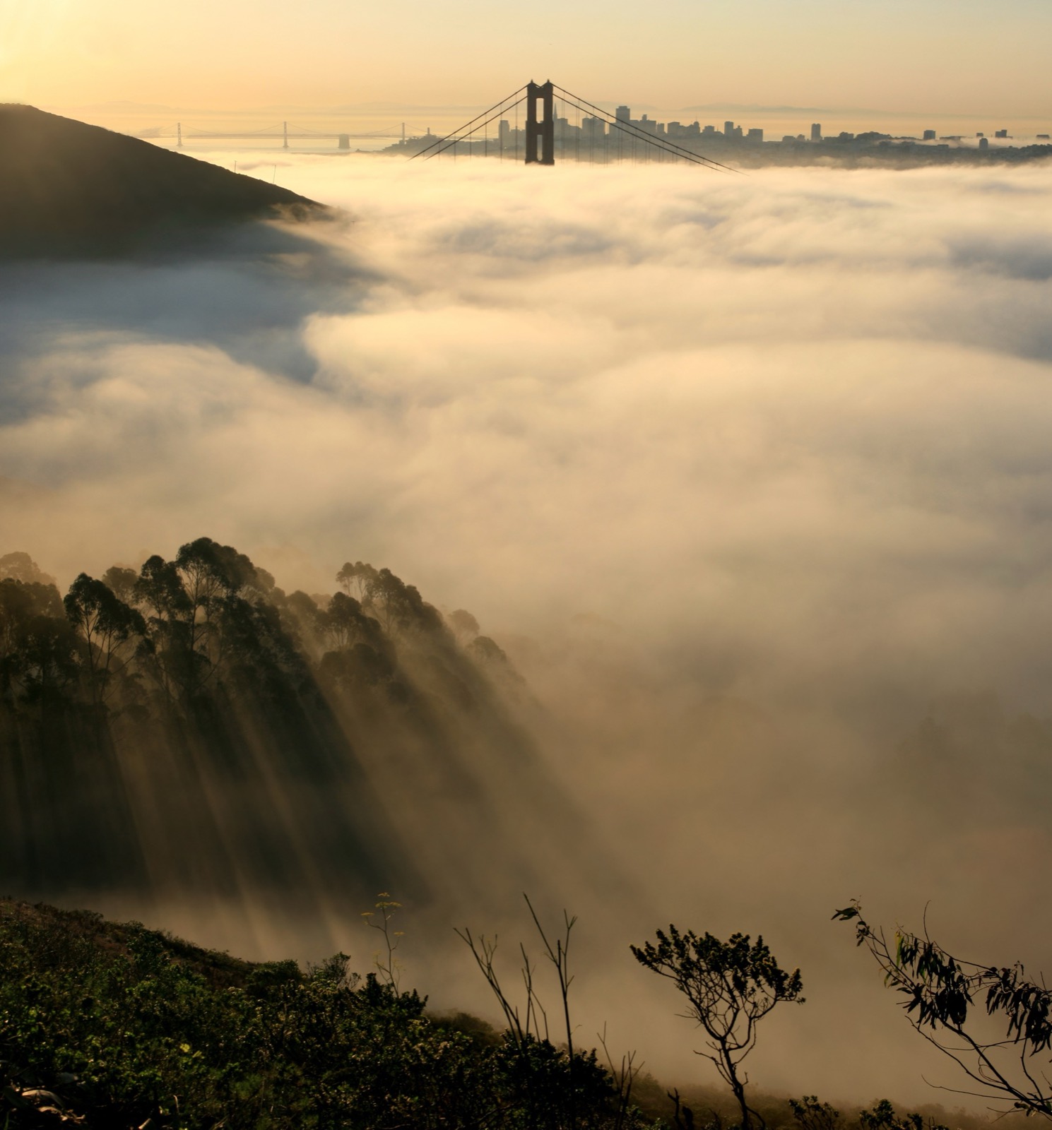Sunbeams through fog pouring over the Marin hills toward the bridge