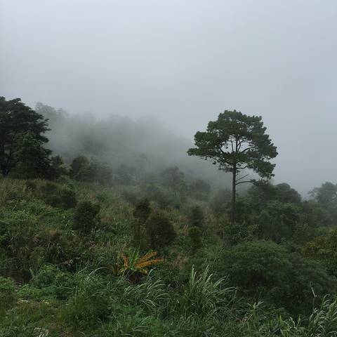 Mae Na Toeng, Pai District, Mae Hong Son 58130, Thailand