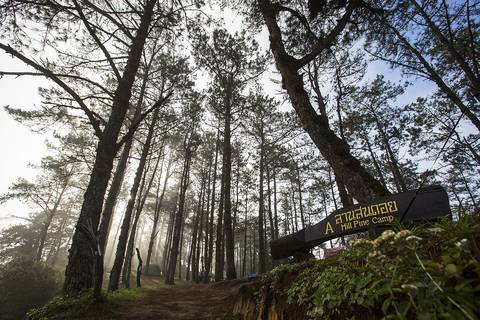Hill Pine Camp, Huai Nam Dang National Park, Chiang Mai Province
