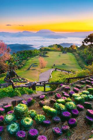 Beautiful scenery during sunrise and mountain range of Huai Nam Dang National park at Chiang Mai in Thailand.