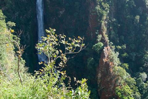 Mae Surin Waterfall. Numerous streams and rivers around. A mix of evergreen and deciduous hill forest with some Dipterocarp trees. It was the last place in northern Thailand where you could spot an In