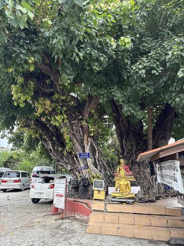 Wat Pha Bong (Mangkhalaram / Mangalaram), Chiang Mai