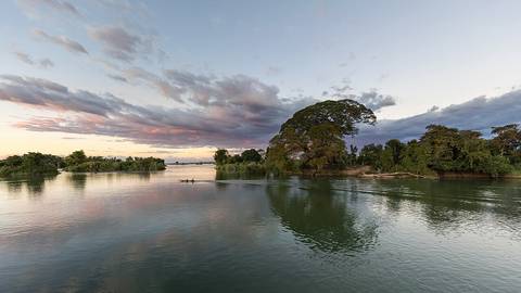 Pirogue running on the Mekong in front of an island hosting a Samanea saman (rain tree) and other trees, at sunset with pink clouds, seen from Don Det, Si Phan Don, Laos.