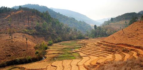 Rice paddies and recently cleared forest land in Amphoe Mae Chaem, along road 1263 between the town of Khun Yuam (Mae Hong Son province) and the town of Mae Chaem (Chiang Mai province), on the west fl