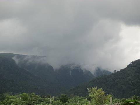 A dramatic landscape showcasing lush, forest-covered hills shrouded in low-hanging mist and clouds. The grey, overcast sky blends seamlessly with the fog rolling over the peaks, creating a moody, cool