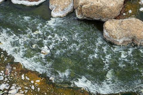 A mineral-rich hot spring stream flowing through rocks at Chae Son National Park in Lampang Province, Thailand. The flowing water creates delicate patterns around aquatic vegetation and mineral deposi