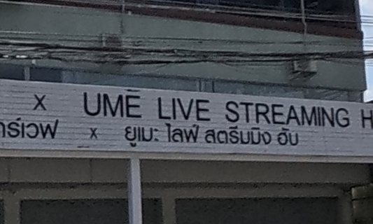 สตาร์เวฟ x ยูเมะ ไลฟ์ สตรีมมิง ฮับ